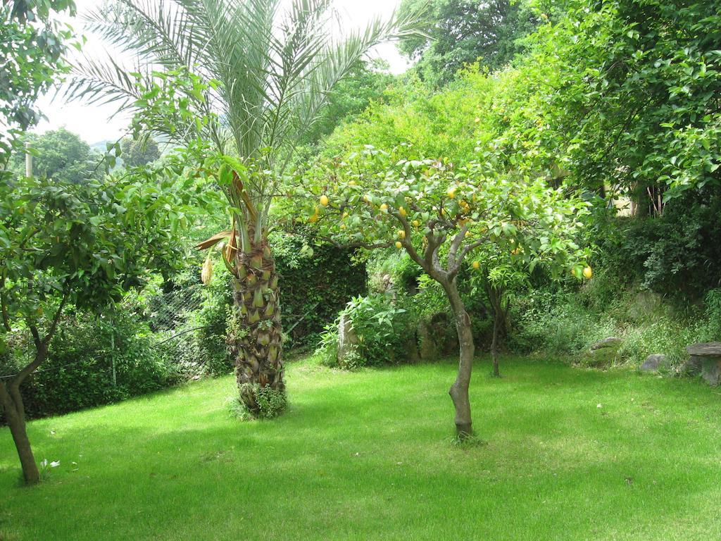 Le Roverelle Ilbono Luaran gambar